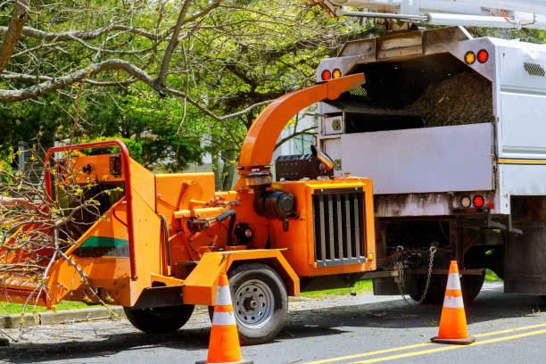 Best Arborist Consultation Services  in Yreka, CA